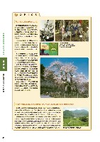 2005環境経営レポート P42